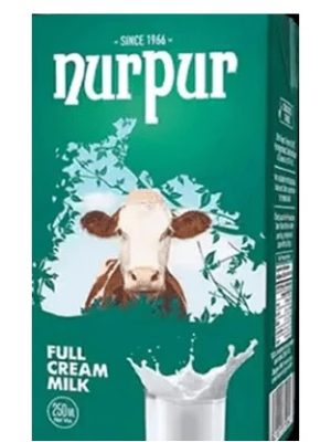 Nurpur Milk 250 ml